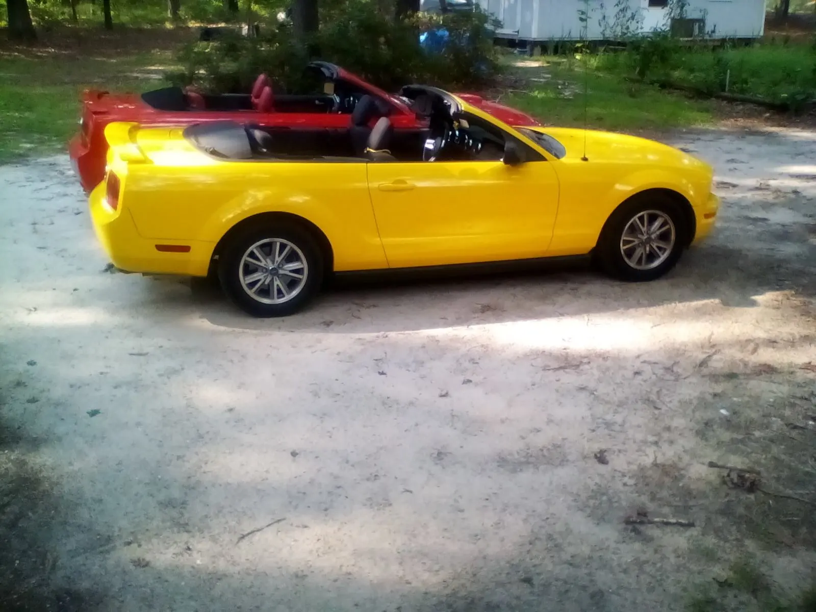 2mustang.webp