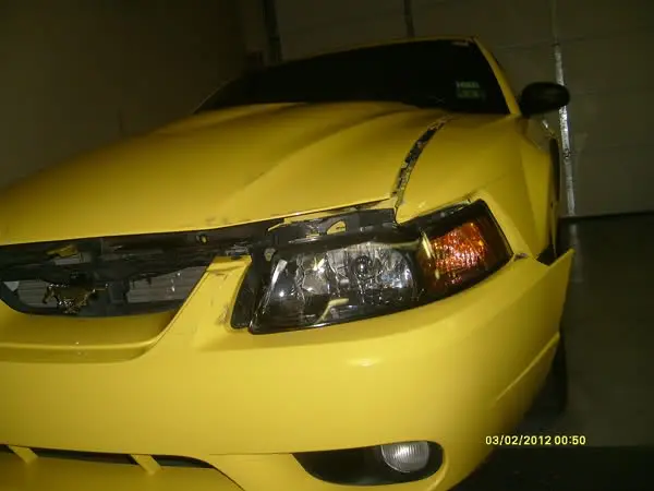 2mwim8w.webp