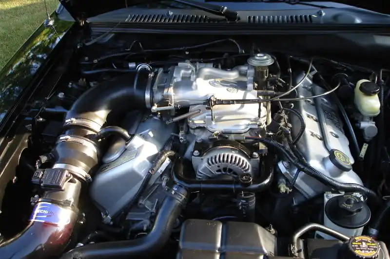 2s5xjl0.webp