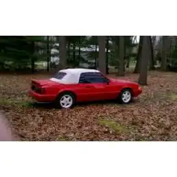 2z4ygig.webp