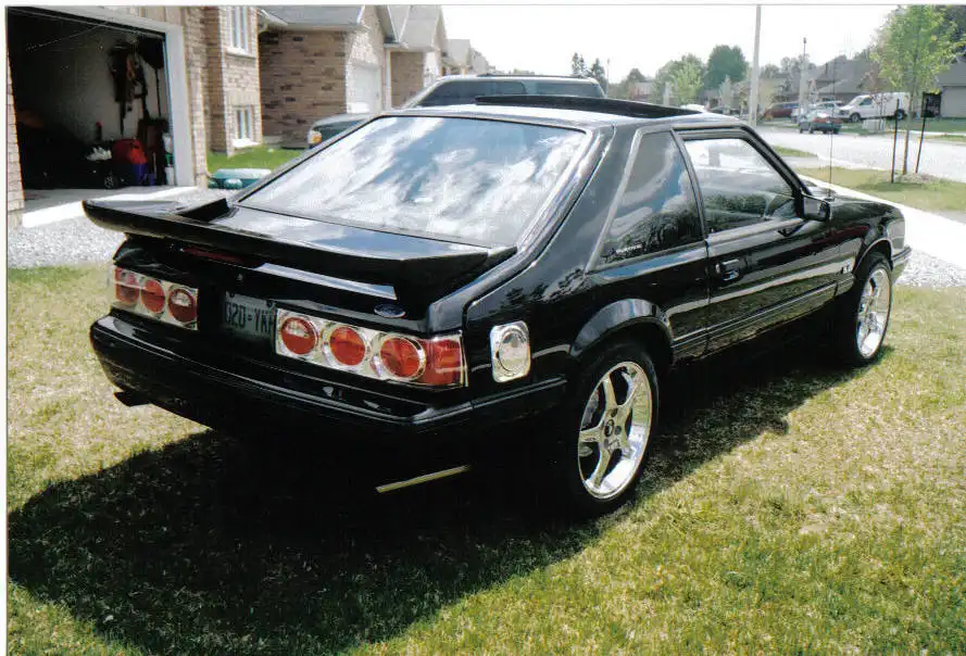 3.webp