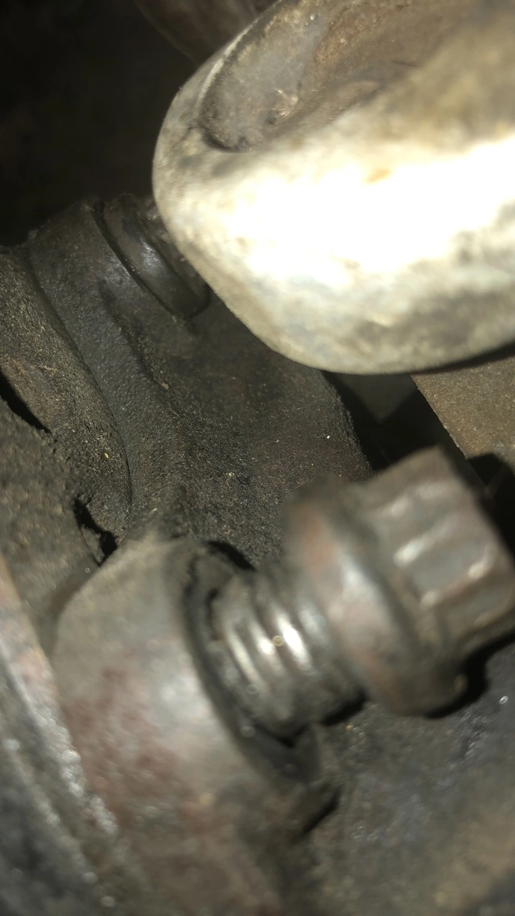 315CE02A-CB35-4391-ADD4-CF4B08F634BF.webp