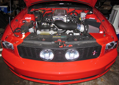 3309646995_e806e47092.webp