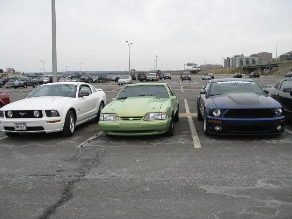3349665107_4428369ef8_o.webp