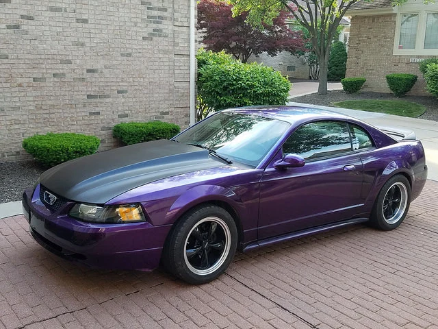 34717870030_fa83b7a7f0_z.webp