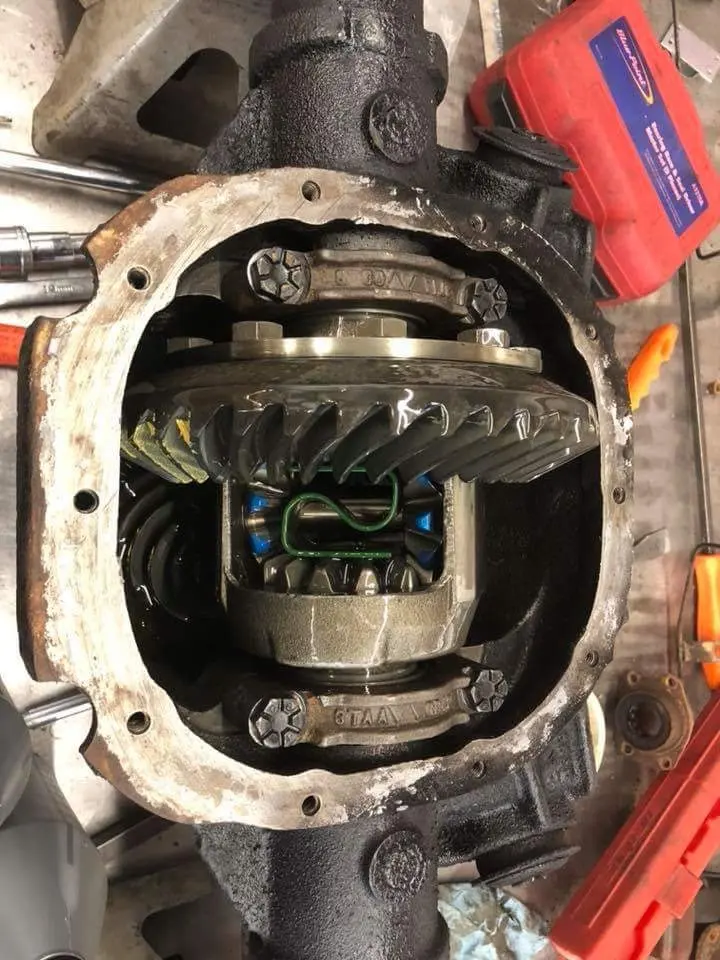35052170_10155871221614091_3996827201935769600_n.webp