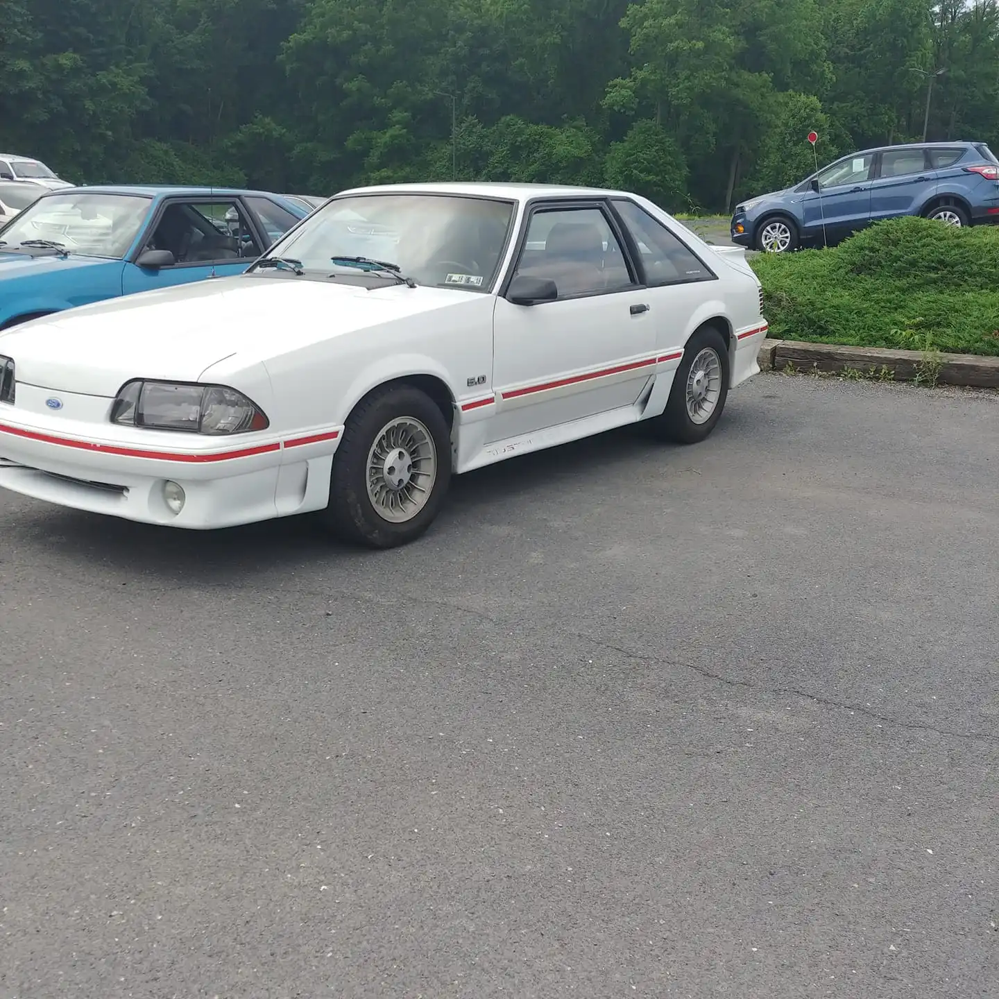 35198992_10204522586102057_3518079068740255744_o.webp