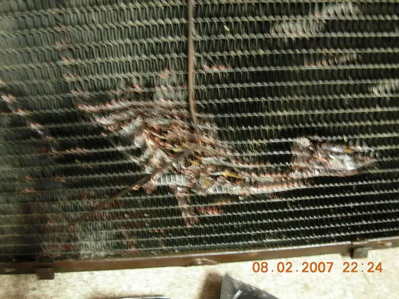351swap012.webp