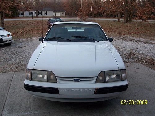 3642197295_1c1fc5692b.webp
