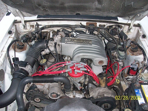 3643004968_3761842852.webp