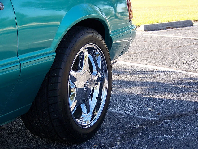 3695421865_15ab35c3c0_z.webp