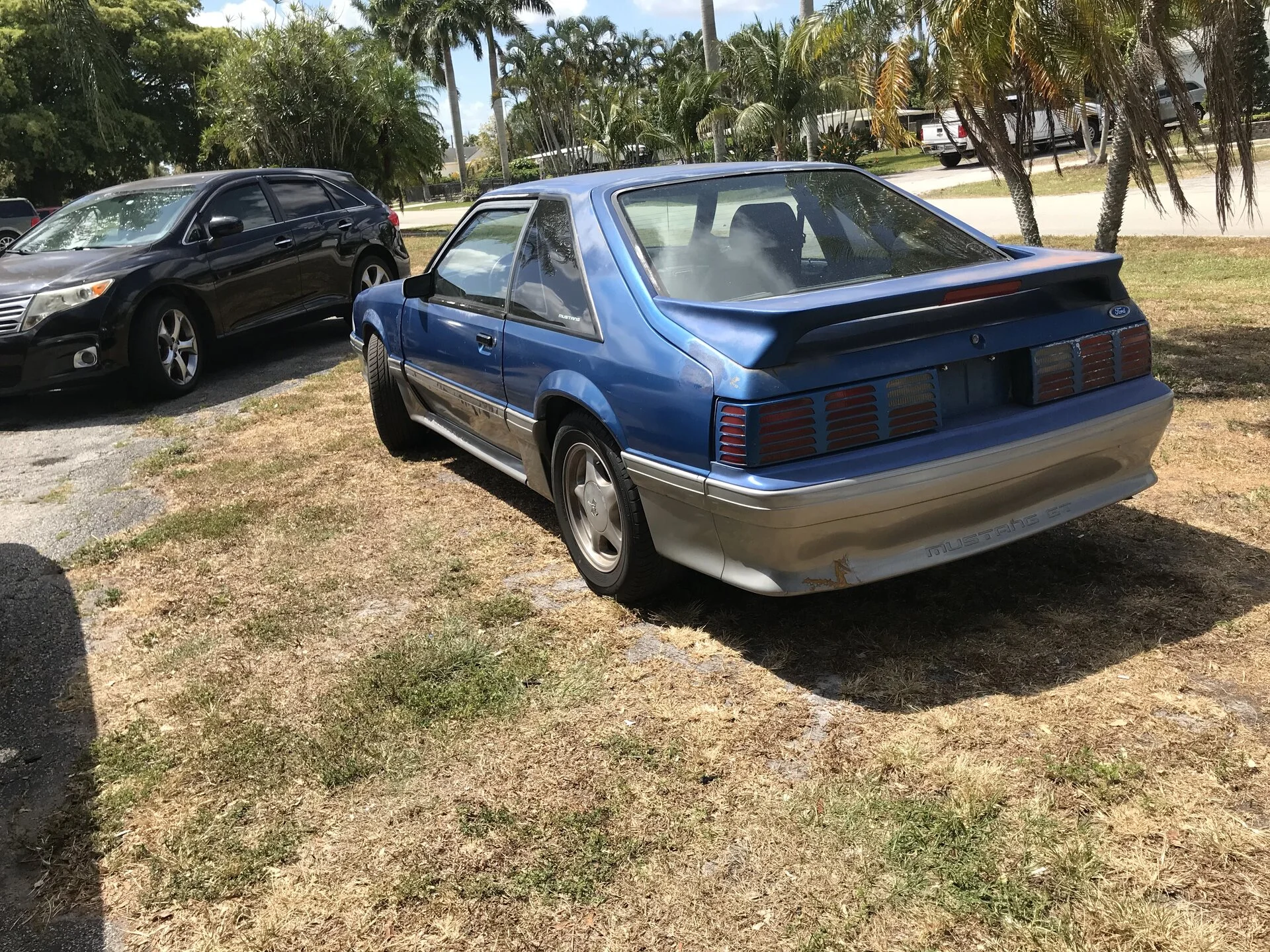 375A2FD3-3B19-4C08-8CC7-8380929FCA1E.webp