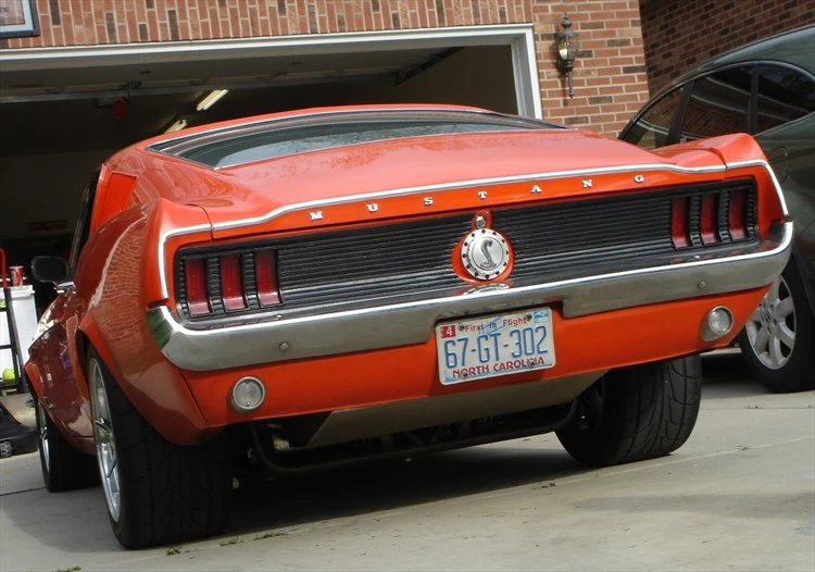 38079640049_large.webp