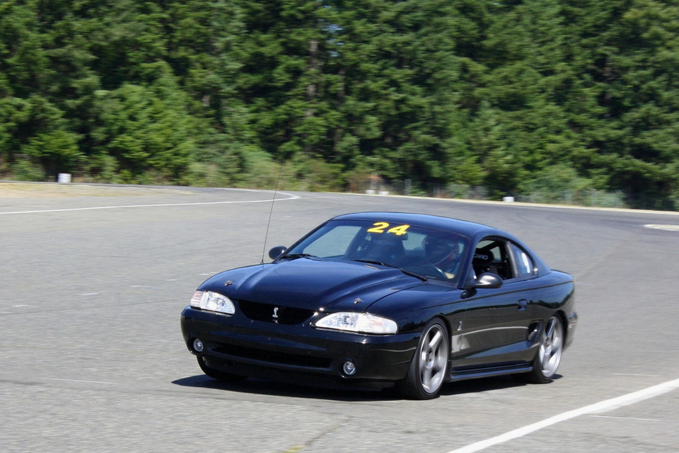 3845867698_9b0ef82f16_b.webp