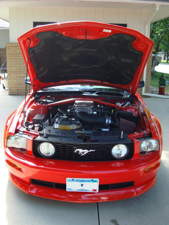 3849384702_c5aa3d0bc0_o.webp