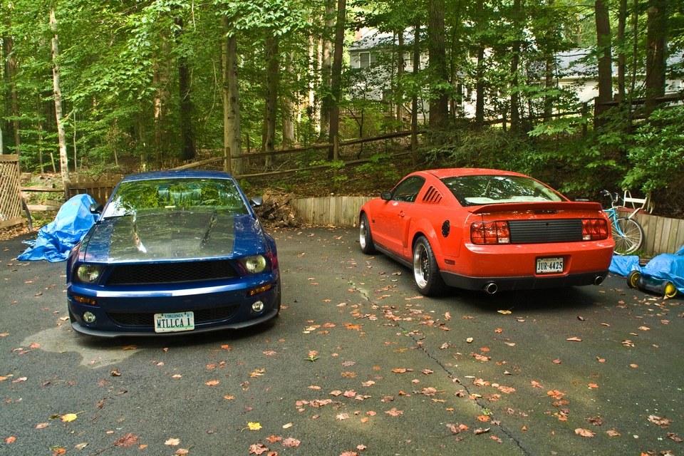 3867776493_a3219ef071_o.webp