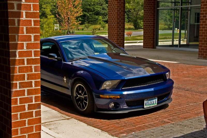 3883752476_da15ff52db_o.webp
