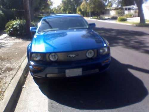 3921954409_c0005b0fd7.webp