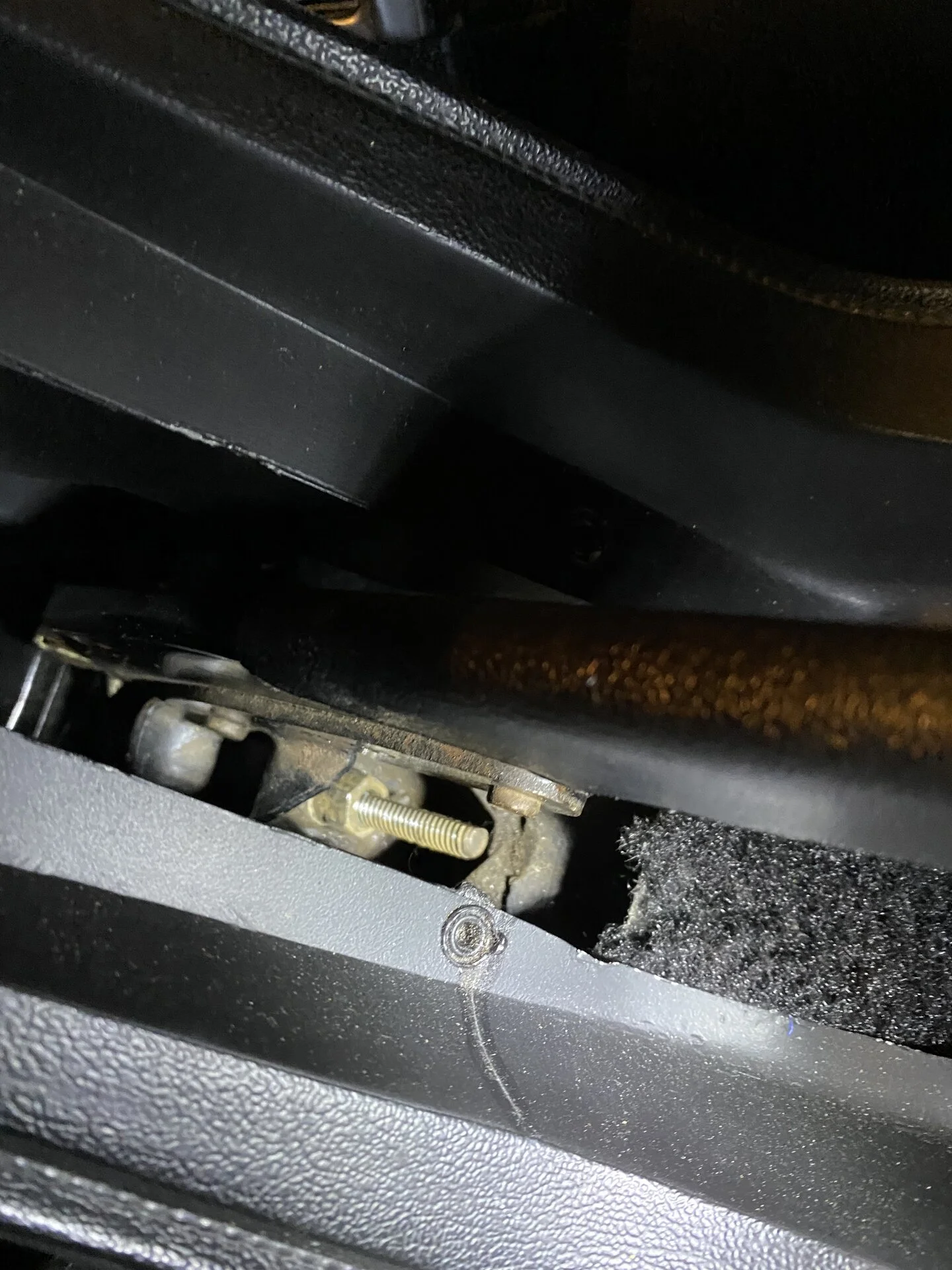 3D1107D1-B743-40F4-A301-64798CA2963E.webp