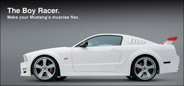 3dcarbonsideskirts.webp