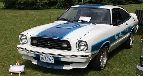 3ed215bf2608c23f232c8b304b6ef0fe--mustang-cobra-memories.webp