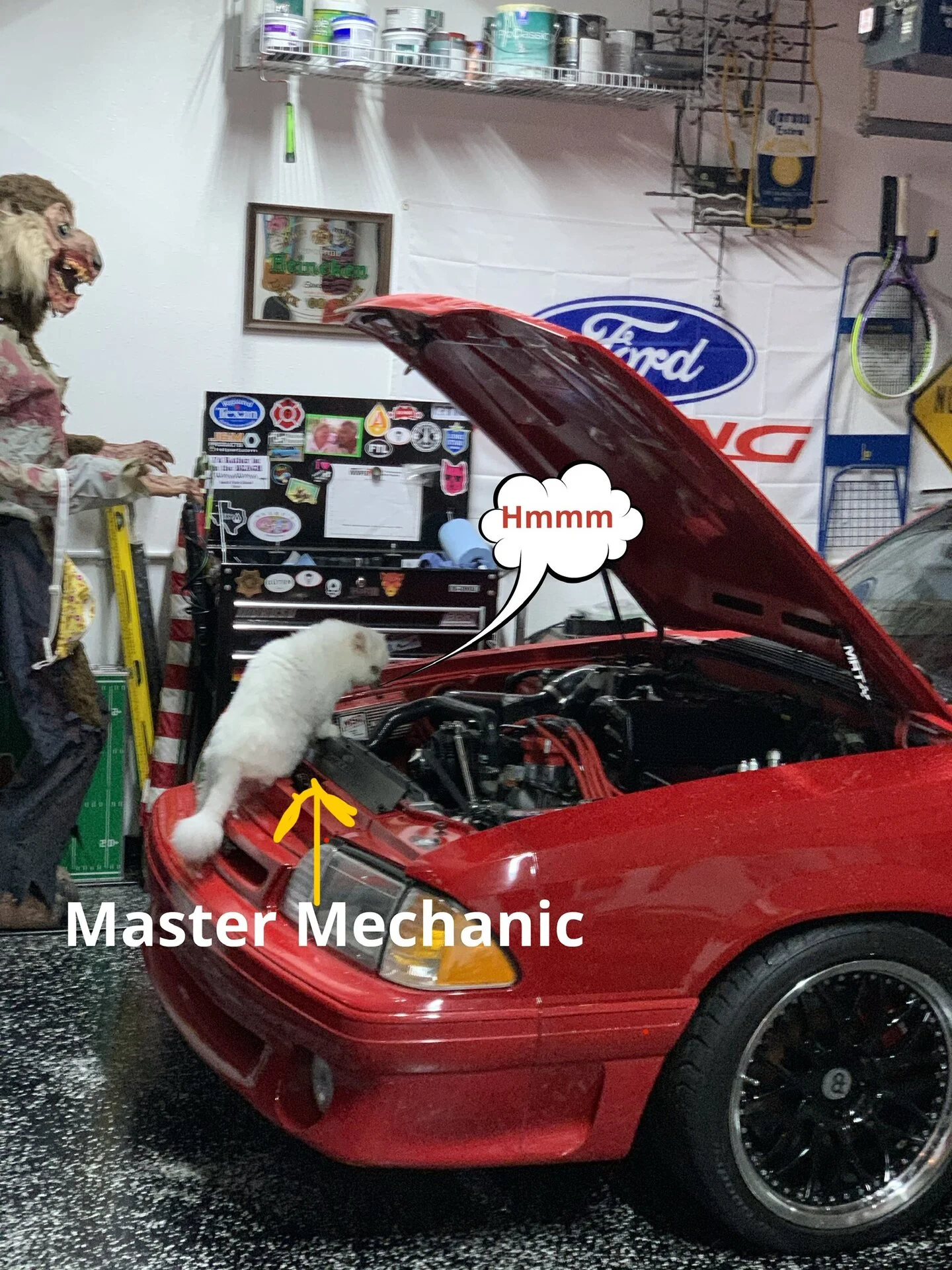 3FD72294-3EE9-4383-AD5C-853CB8505D63.jpeg