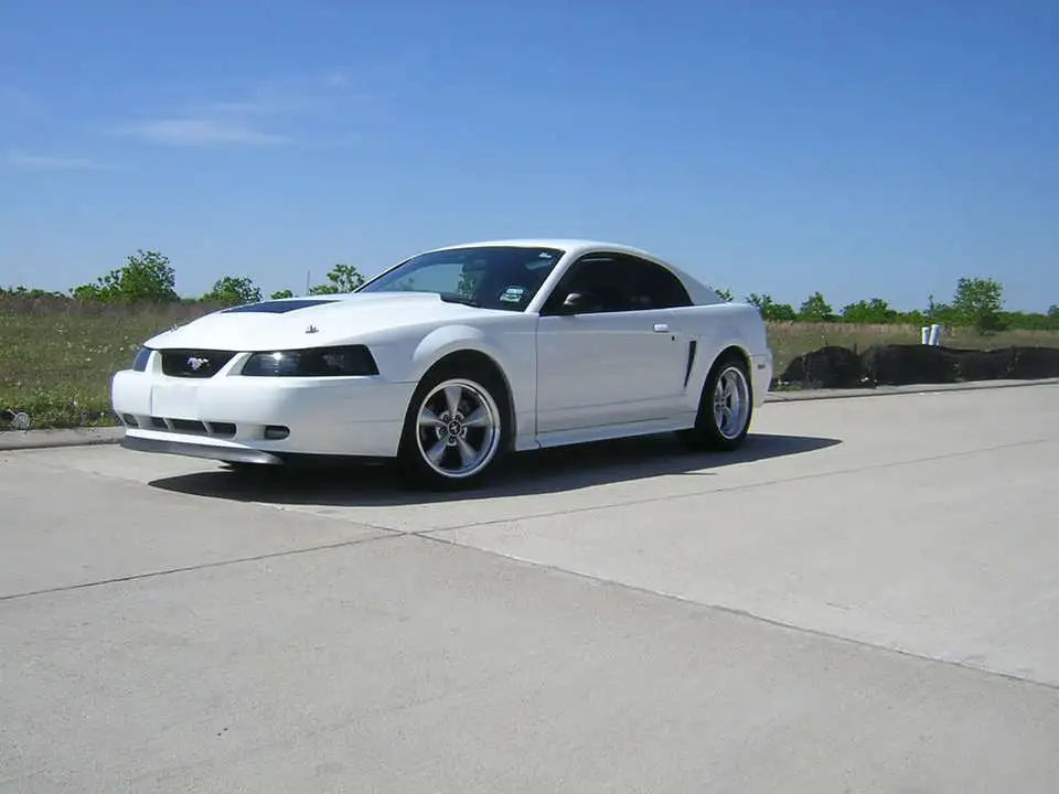 4-19-08001.webp