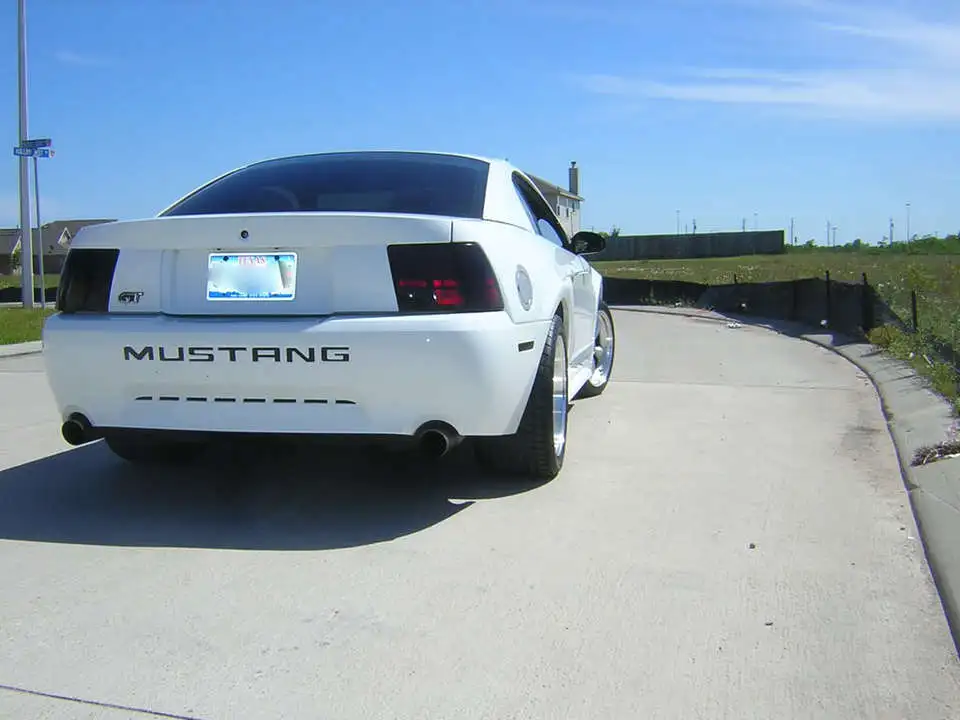 4-19-08004.webp