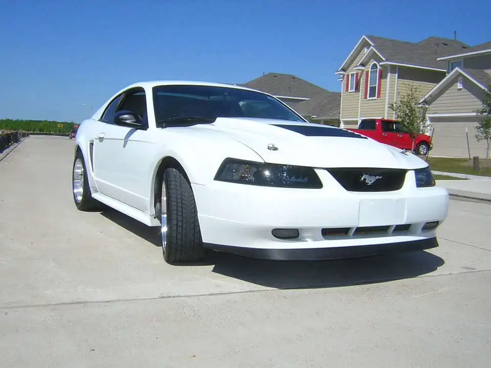 4-19-08005.webp
