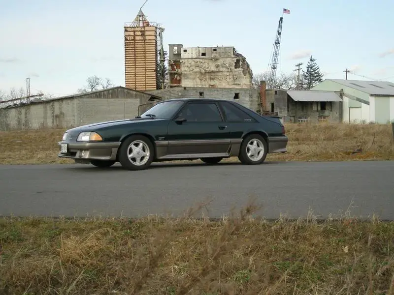 4.webp