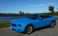 4074884109_33631ba834_m.webp