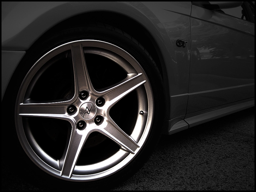 41.%20Saleen.webp