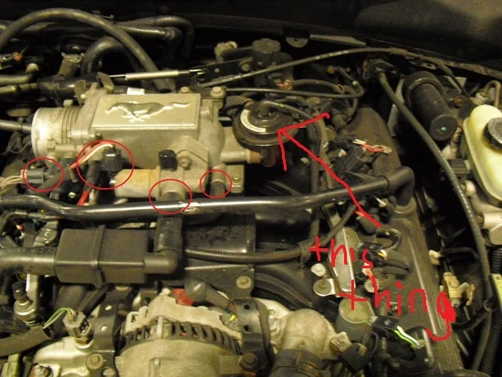 41120-image-02.webp
