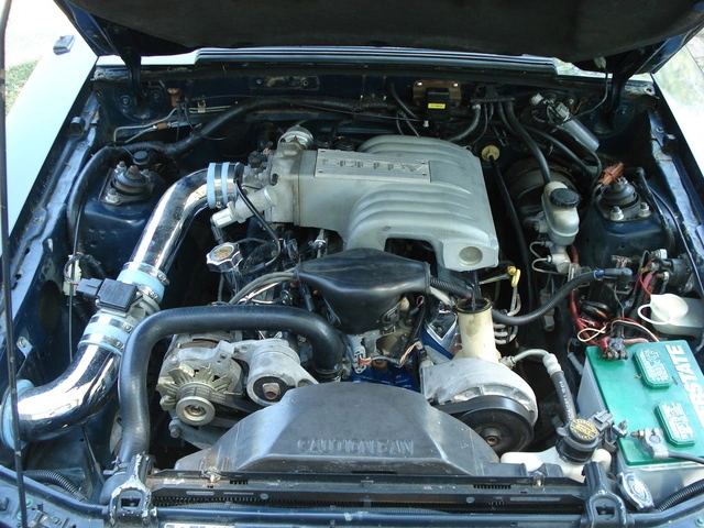 41209008.webp