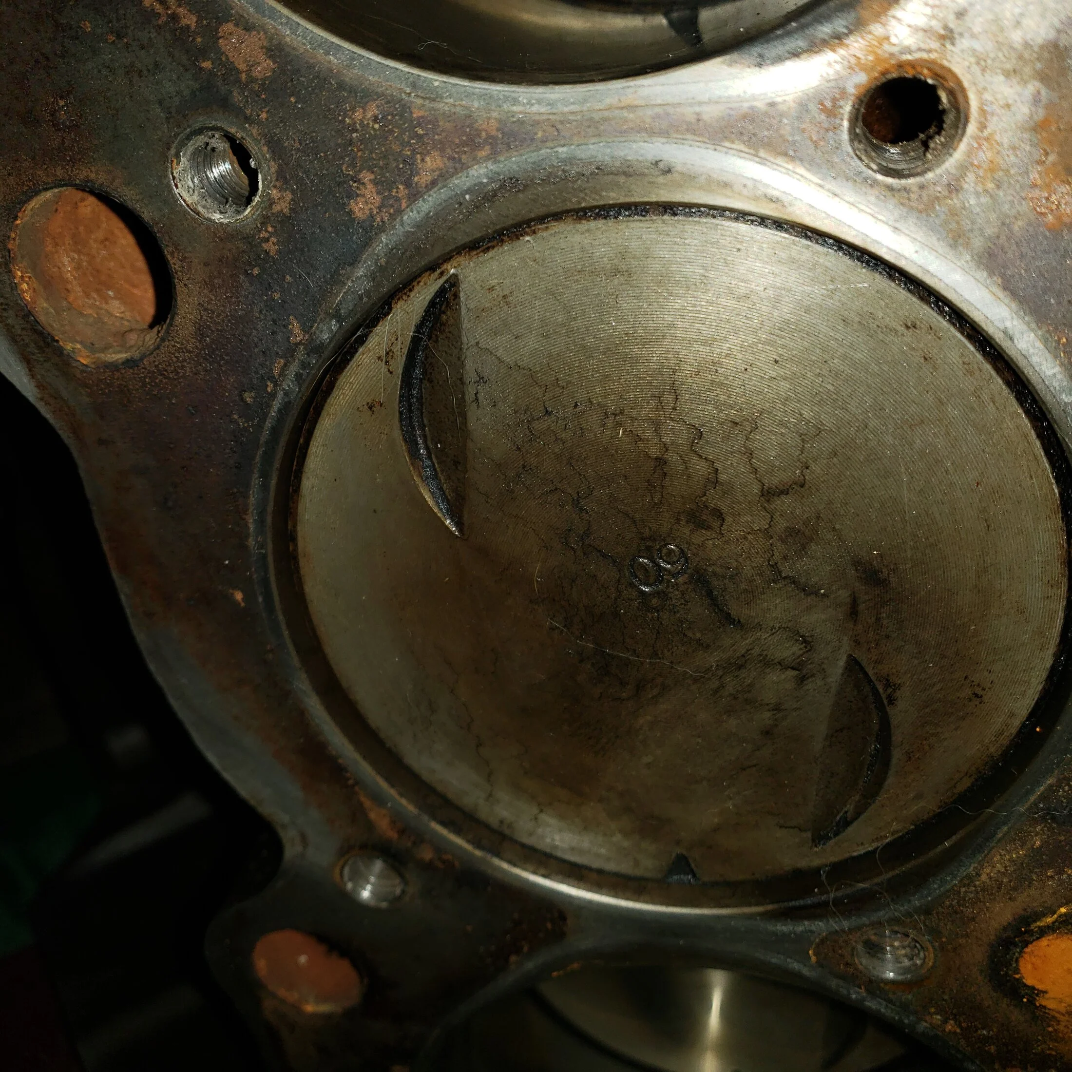427 pistons in block.webp