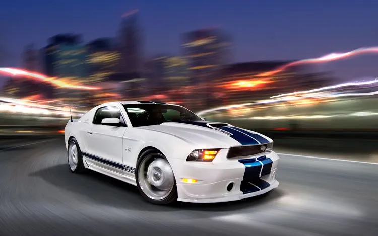 4307527020_d534ce44cd_o.webp