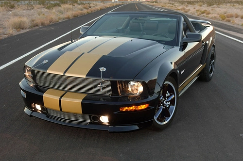 441973449_73e5bf2723.webp