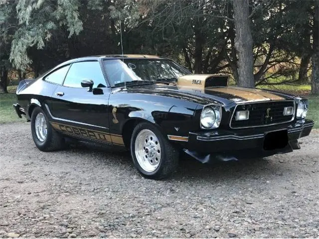 45813859-1977-ford-mustang-thumb.jpg