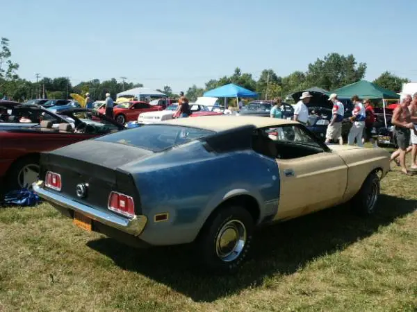 473Picture_006-med.webp