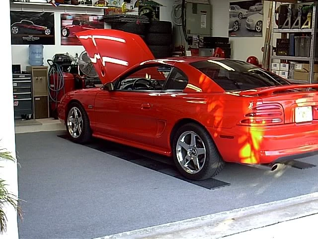 48591577811_fd08d787da_z.webp