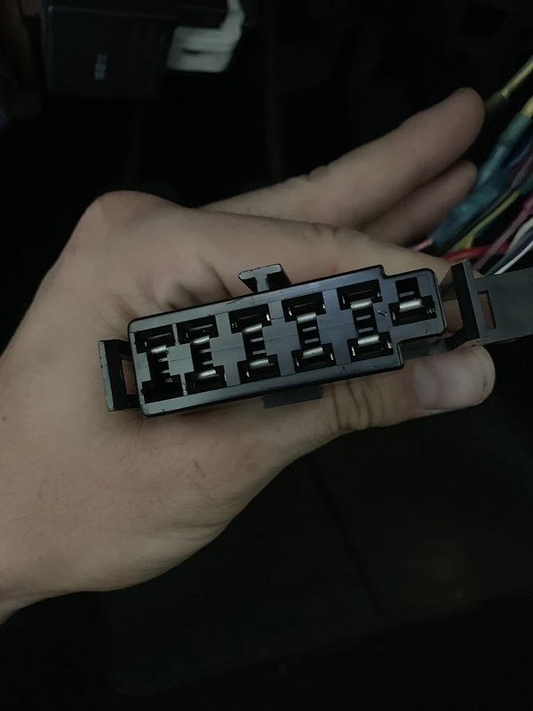48638338366_b8a231e068_c.webp