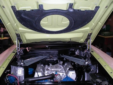 48830504.webp