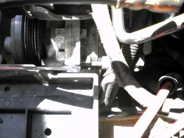 49.webp