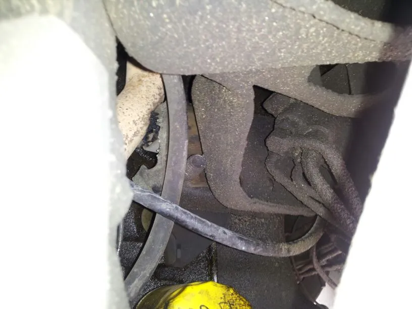 4ac287ef-4335-2e3a.webp