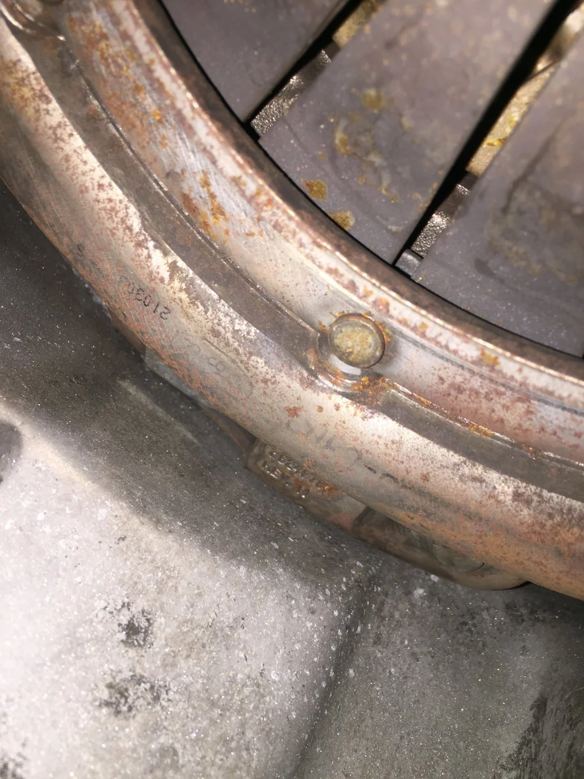 4C8833E8-2FF8-4400-B241-6D6BF076186F.webp