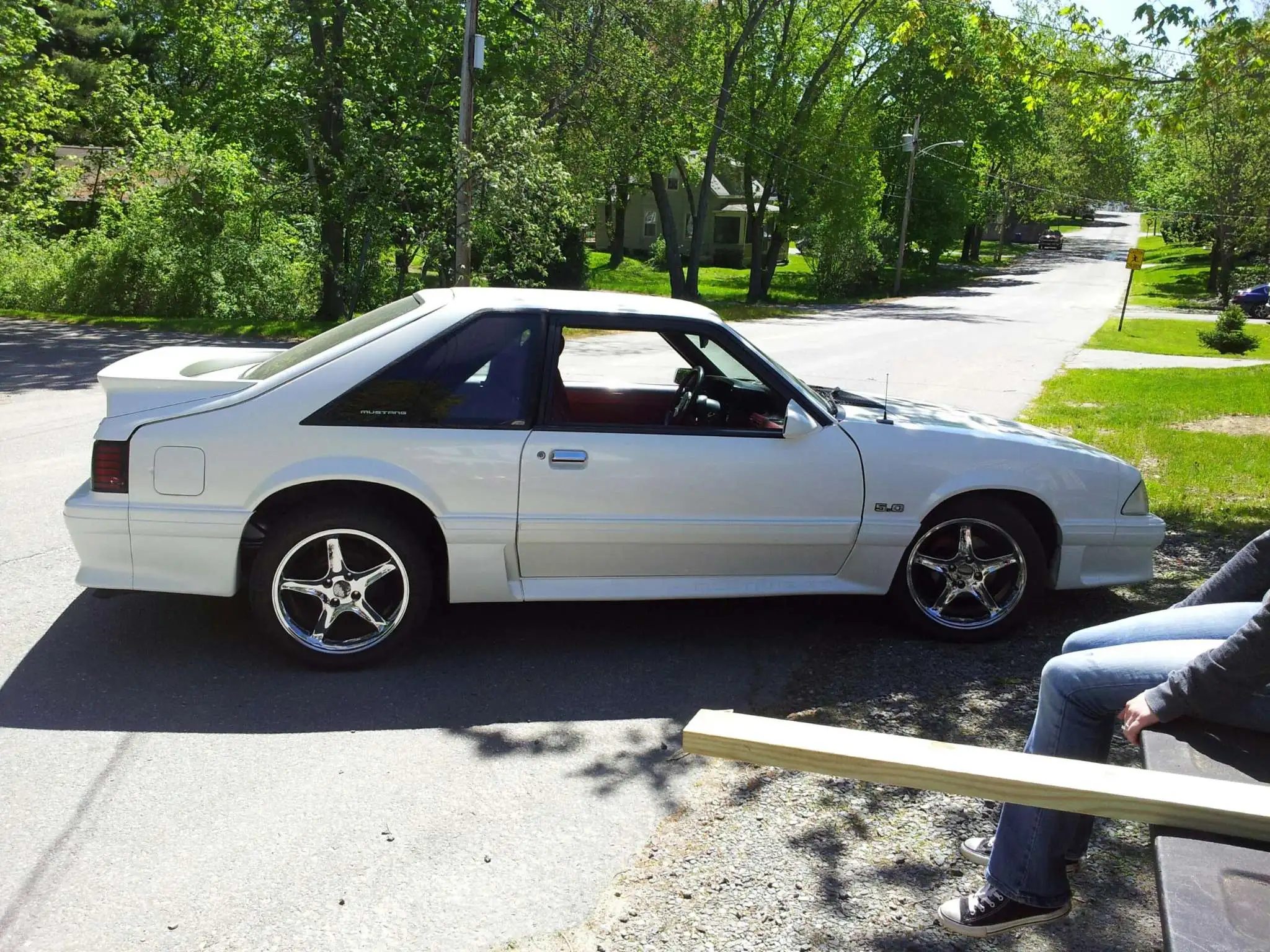 5-21-17 stang.webp