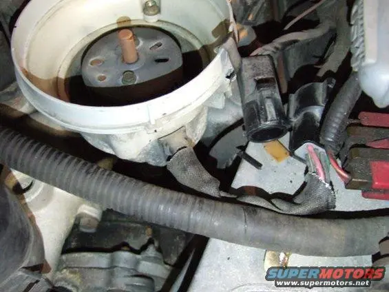 5-distributor-plug.webp