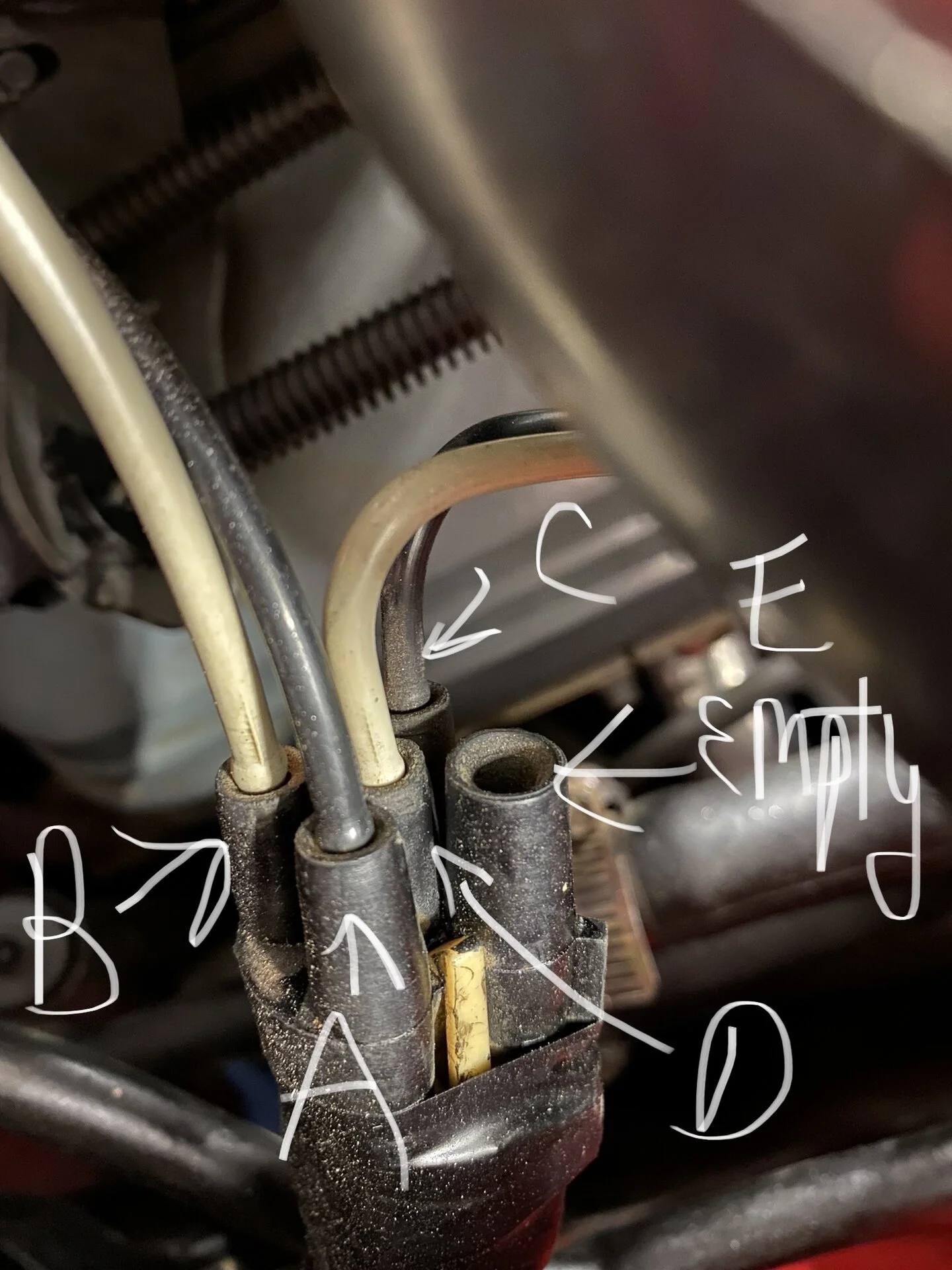 5078506C-C69D-4792-B8E7-592725BC53CF.webp