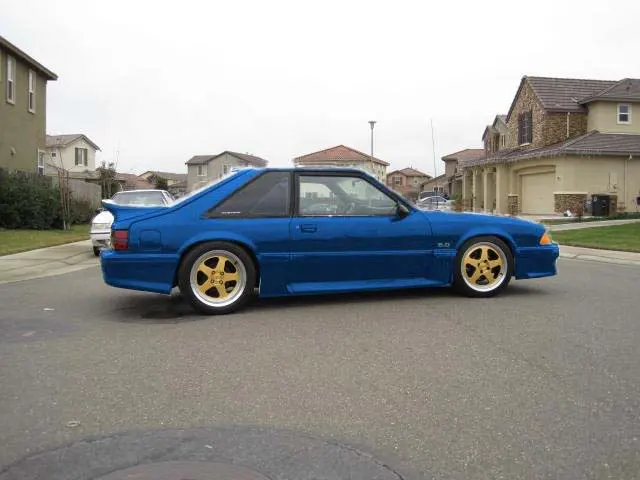 50Deep009copylower.webp