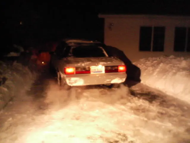 50insnow.webp